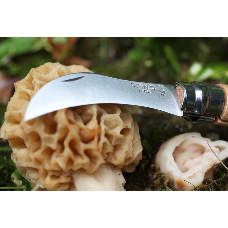 Opinel N°08 Mushroom Pocket Knife Stainless Steel Hawkbill Beech Wood Handle